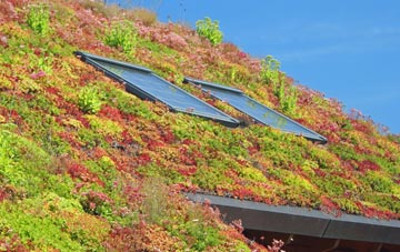 Ragnall living roof systems