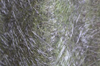 Ragnall fibreglass roof work