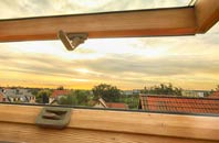 rated Ragnall roof window companies